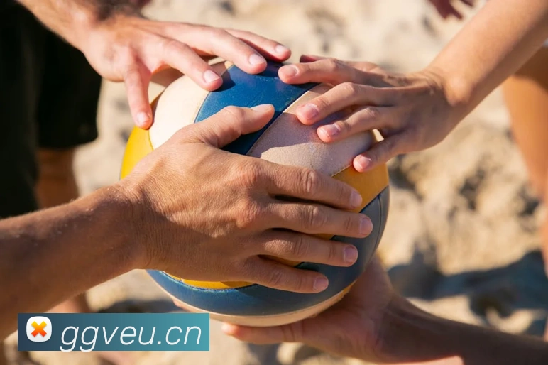 leyu乐鱼在线登录入口发展历程